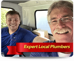 Expert